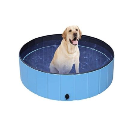 iBello-hondenzwembad