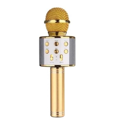 iBello karaoke microfoon